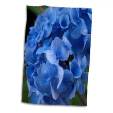 Flor De Hortensia Mophead Azul De Massachusetts 3d Rose Us22