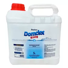 Eliminador De Metais Domclor Piscina (elimina Mancha) 5l