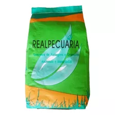 Sementes De Grama Batatais - Sementes Realpecuária ( 1 Kg ) 