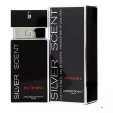 Perfume Silver Scent Intense Edt 100ml Oferta Envio Imediato