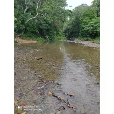 Finca 6000 Tarea En Monte Plata Cerca De La Carretera 