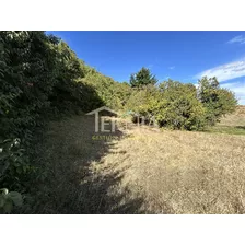 Se Vende Lote De 8,54 Has Alto Monte Verde A 8 Km. De Temuco