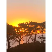 Dueño Alquila Parada Siete, Playa Mansa Punta Del Este Vista Al Mar