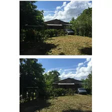 Vendo Finca De 20 Tareas Con 2 Mejoras Provincia Duarte 