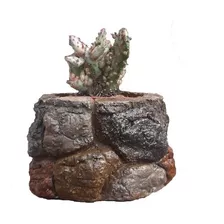 Maceta Cemento Piedra Artificial 7 X 10 Cm 2pz