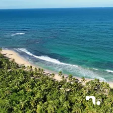 Solares Con Vista Al Mar Y A La Montaña Us$55 X M2