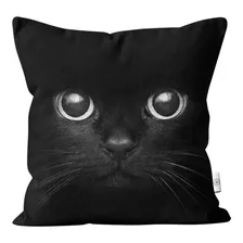 Almofada 40x40 Cat Gatos Pets Miau