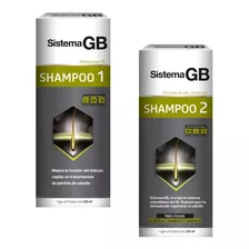  Kit De Shampoo Sistema Gb Shampoo 1 Y 2 Caida De Cabello