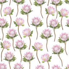 Vinilo Decorativo Flores Protea Tapiz Wallpaper Textura