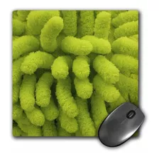 3drose Llc 8 x 8 x 0.25 inches Mouse Pad, Verde Lima Shag