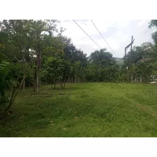 Se Vende Finca De Oportunidad En Los Mogotes De Bonao