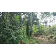 Terreno En Venta Puerto Quito, 3 Hectareas