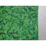Empapelado Muresco Papel Zen Vinilizado Hojas Verde 34801
