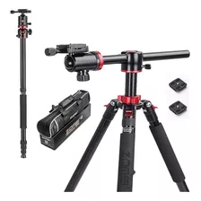 Trípode Zomei 75 '', Trípode De Cámara Para Dslr, Trípode De