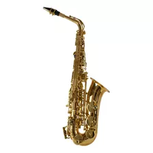 Saxofone Alto Shelter Sgft6430 L Mib Dourado C/case