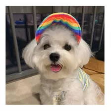 Gorra Lgbt Mascotas Perro - Unidad a $36536