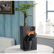 Fuente De Agua Para Interior Para Planta Bonsai