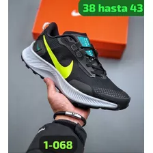 Zapato Original Nike Pegasus | Imp011