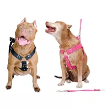 Coleira Cachorro Peitoral Completa Pitbull, Labrador, Boxer