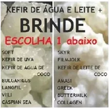 . Kefir De Água E Leite + Brinde Escolha ( Tag Iogurte ) 