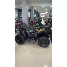 Kawasaki Brute Force 300