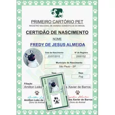 Certidão De Nascimento Pet Rg Pet E Placa Pet