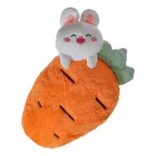 Zanahoria De Peluche Con Tierno Conejito 