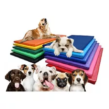 Caminha Petlife Cães 70x50cm Impermeável Colchonete Pet