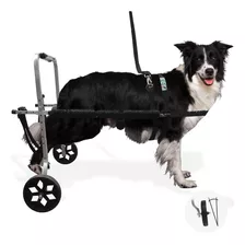 Cadeira De Rodas Para Cão Cachorro Grande Porte De 15 A 30kg