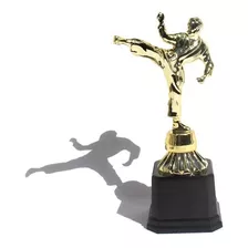 Troféu Karatê - Taekwondo - Kung Fu - Lutas - 19 Cm