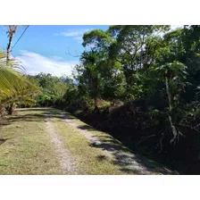 Vendo Lote Y Parcela En San Vito, Coto Brus, Puntarenas. Presto Parcela 