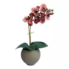 Arranjo Artificial Orquídea Coral No Vaso De Vidro Fendi