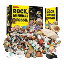 Colección Rocks Minerals & Fossils Para Niños De Más De .