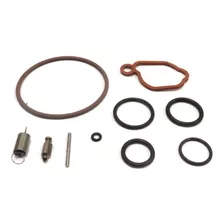 Kit Carburador Compatible Briggs & Stratton 450e 500e 550e 