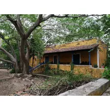 Venta De Hacienda En Uman De 3.3 Has En Umán Yucatan.