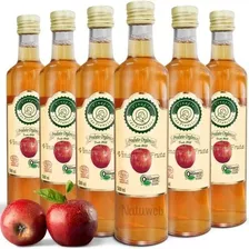 6x Vinagre De Maçã Orgânico 500ml São Francisco 100% Natural