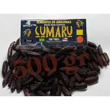 Cumaru Sementes, 500gr Colhidas Recentemente. Cumarú Tonka