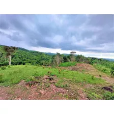 Venta De Terreno En Las Mañanitas De Tocumen 22-859