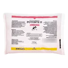 Potente Insecticida Hormiguicida En Polvo Seco 1 Kg.