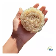 Virutilla Luffa, Abrasivo Vegetal Compostable. Verdeazul 