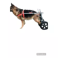 Silla De Rueda Carrito Ortopédico Para Animales De 22 A 35kg