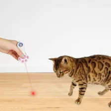 Cat Light Brinquedo - Pata Laser - Para Gatos