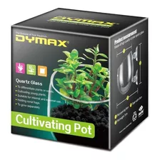 Recipiente Dymax De Cristal Para Cultivo 5x7x8 Acuario Delno