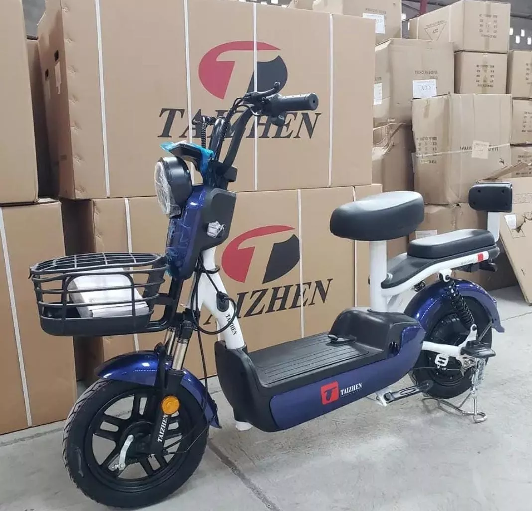 Scooter Moto Eléctrica Doble Asiento C Garantia