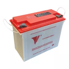 Bateria Apilador Electrico Yale 12v 120ah Repuestos