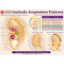 Mapa - Aurículo Acupuntura Francesa - Dr. Jóji Enomóto Phd.