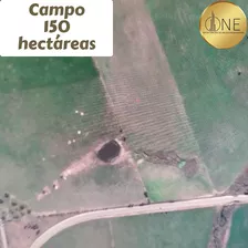 Vendo Campo 150 Hectáreas En La Ciudad De Florida