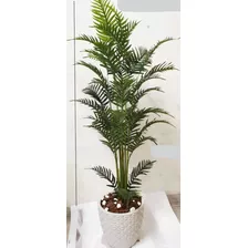 Palmeira Areca Classica (1,70cm) Sucesso De Vendas