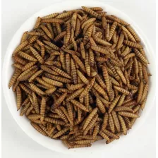 Larvas De Mosca Soldado 50g Para Erizos ,tortugas,peces, Etc