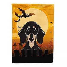 Tesoros De Caroline Bb1773chf De Halloween Lisa Del Dachshun